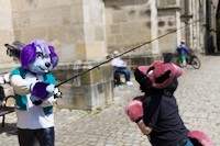 img15