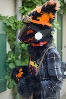 img23