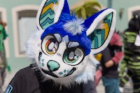 img28