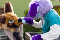 img37
