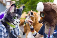 img46