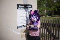 img49