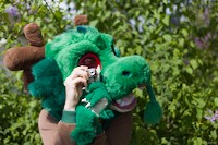 img52
